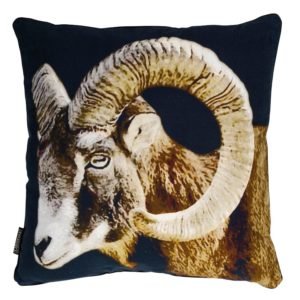 p 8 6 3 863 Coussin Belier noir Lifestyle - Promotions