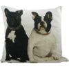 Coussin Bouledogues français 50x50 cm