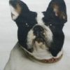 Coussin Bouledogues français 50x50 cm – Image 2