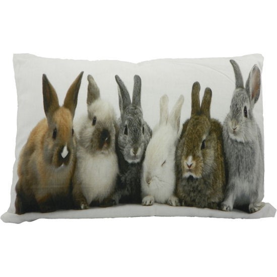 Coussin Lapin : : Cuisine et Maison