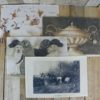 Tapis Paillasson moutons Mars and More