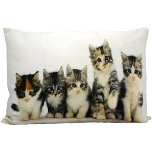 p 1 3 9 1 1391 Coussin chats 50x35cm MarsMore - Promotions