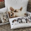 Coussin chats 50x35cm – Image 3