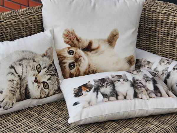 Coussin chats 50x35cm – Image 3