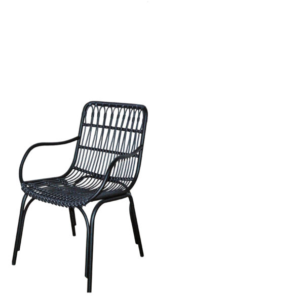 Chaise Palm Beach City Lifestyle à accoudoirs, gris anthracite – Image 2