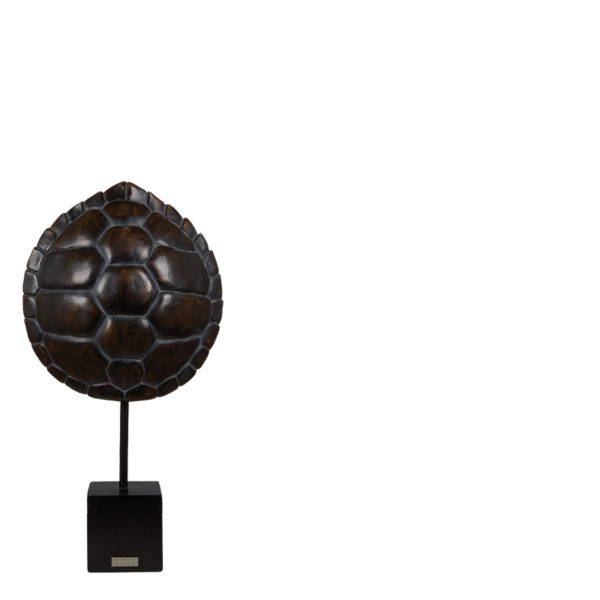 Carapace de tortue noir Lifestyle