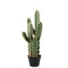 Cactus Jayme 70 cm