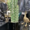 Cactus Jayme 70 cm – Image 2