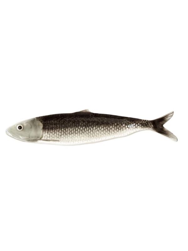 plateau sardine grise 2 - Plat sardine grise Chehoma
