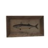 Tableau gravure poisson Chehoma