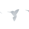 Décoration Murale Oiseaux assortis UMBRA – Image 4