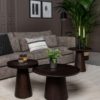 Table basse manguier noyer Durham