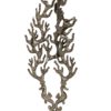 Corail argenté Chehoma 56 cm