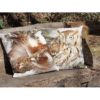 Coussin Coton Hibou – Image 2