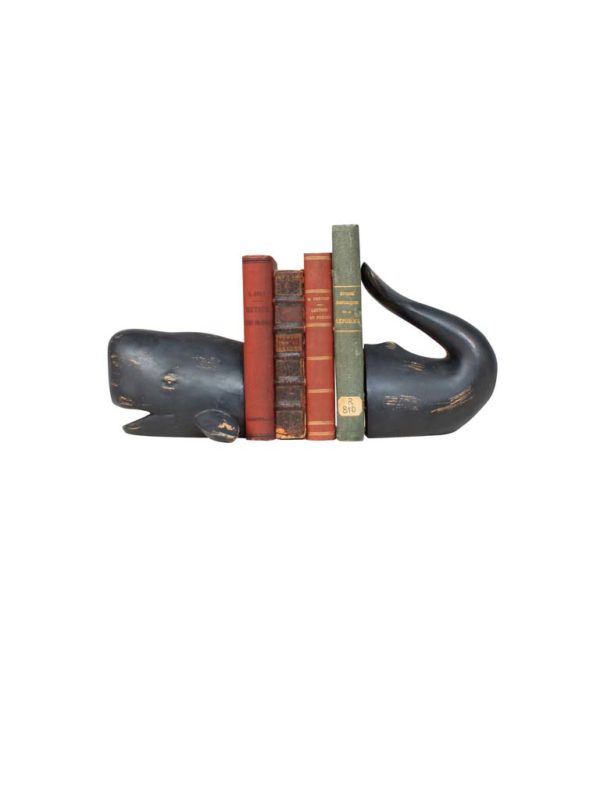 Serre livre Baleine noire