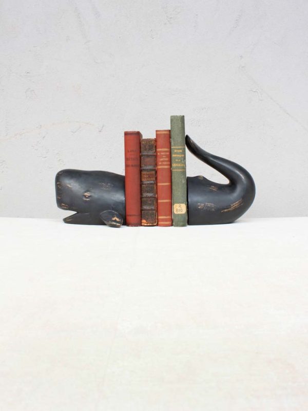 Serre livre Baleine noire – Image 2