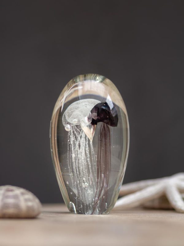 Sulfure 2 Méduses blanche et mauve – Image 2