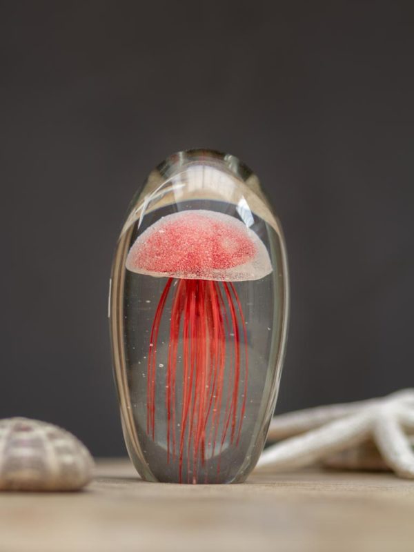 Sulfure meduse rouge 1 - Sulfure Méduse rouge