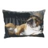Coussin Bouledogue anglais
