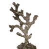 Corail argenté Chehoma 30 cm