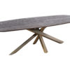 Table à manger Alore ovale brun doré 240 cm – Image 2