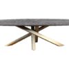 Table à manger Alore ovale brun doré 240 cm
