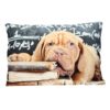 Coussin chien 35 x 50 cm Dogue de Bordeaux