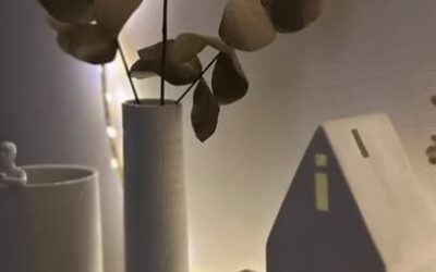 ✨ 🎄Plonger dans la magie de Noël ✨ La collection…