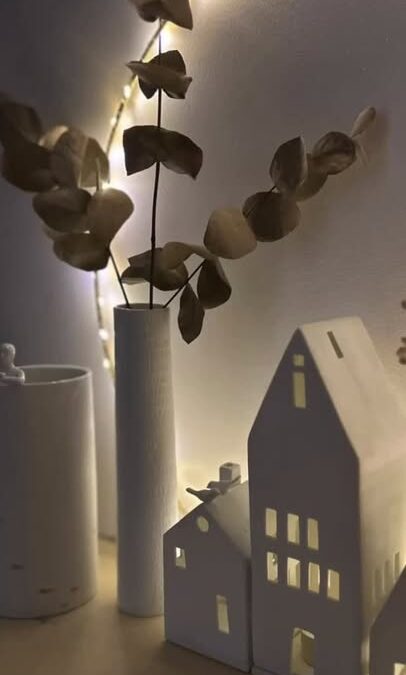 ✨ 🎄Plonger dans la magie de Noël ✨ La collection…